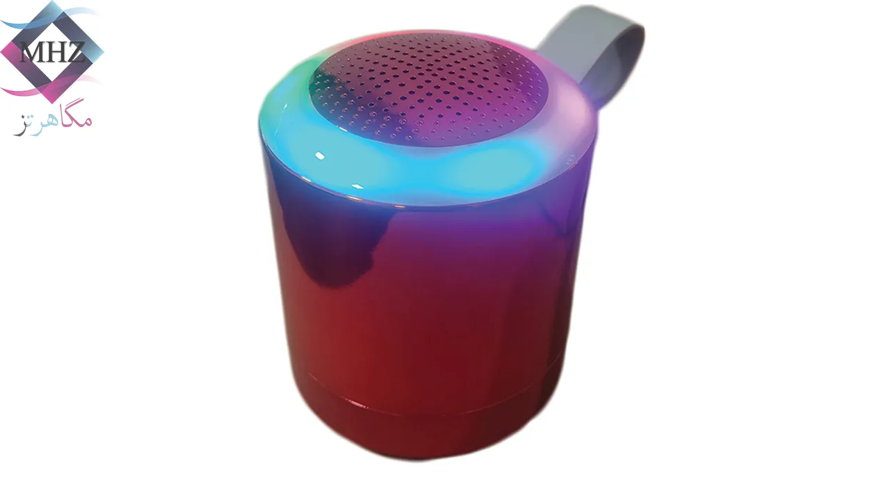 اسپیکر بلوتوثی مدل WKS 313s